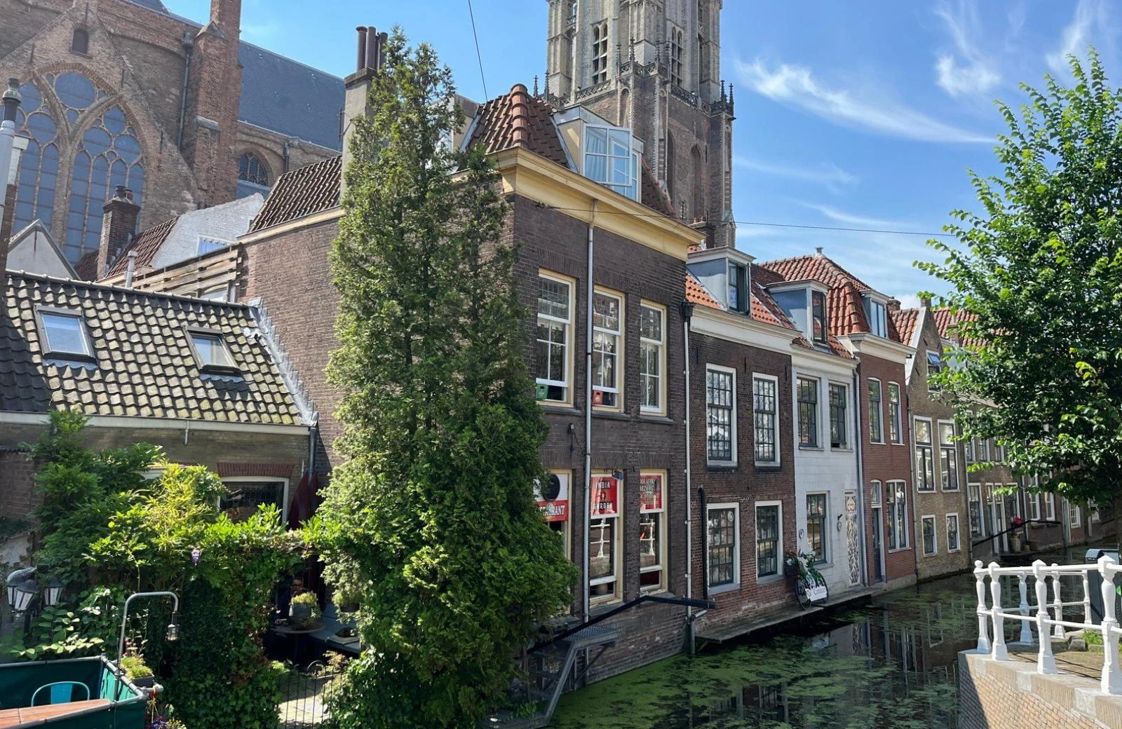 2025 08 21 zomer in delft