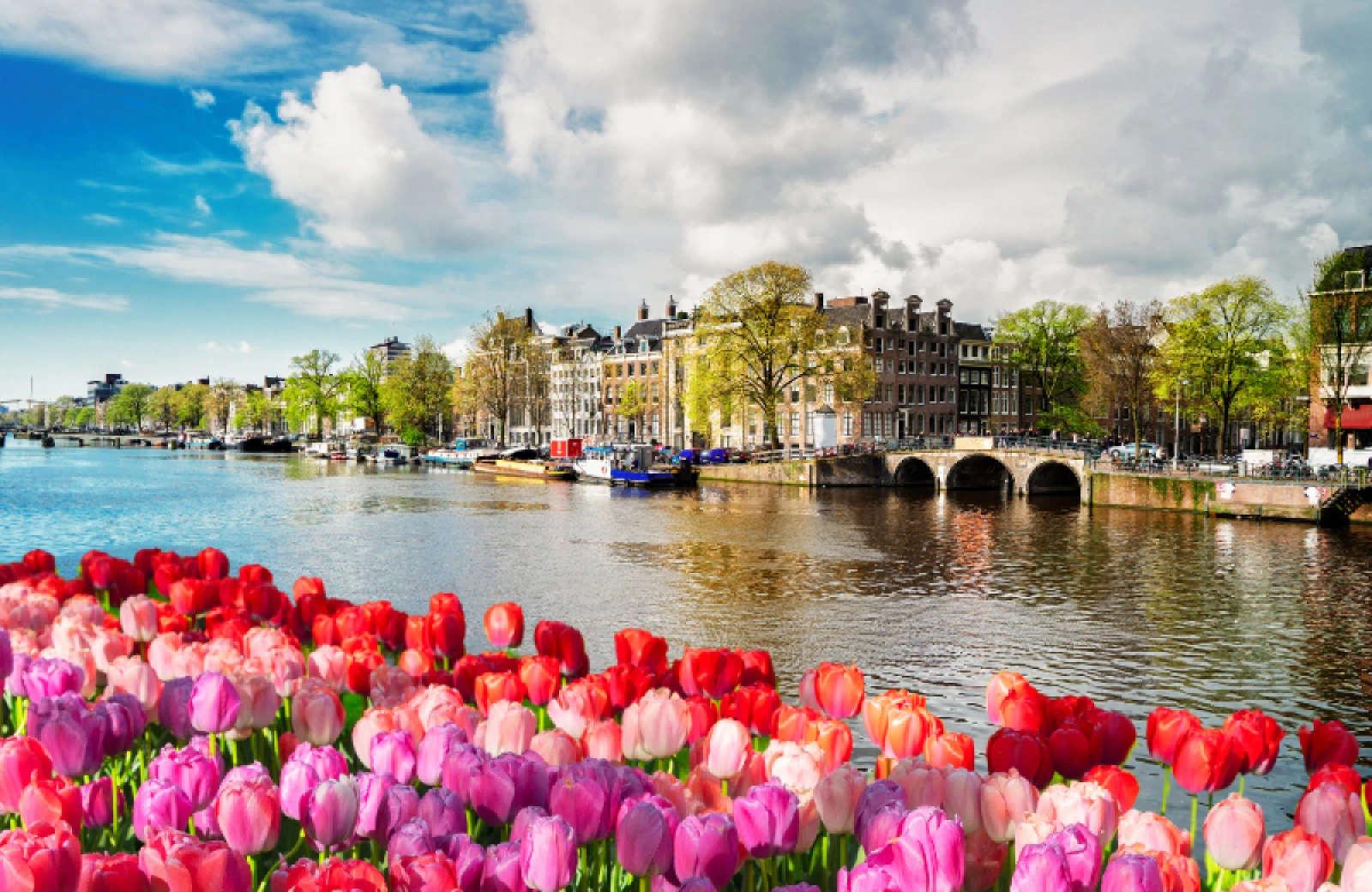 Amsterdam camping delft