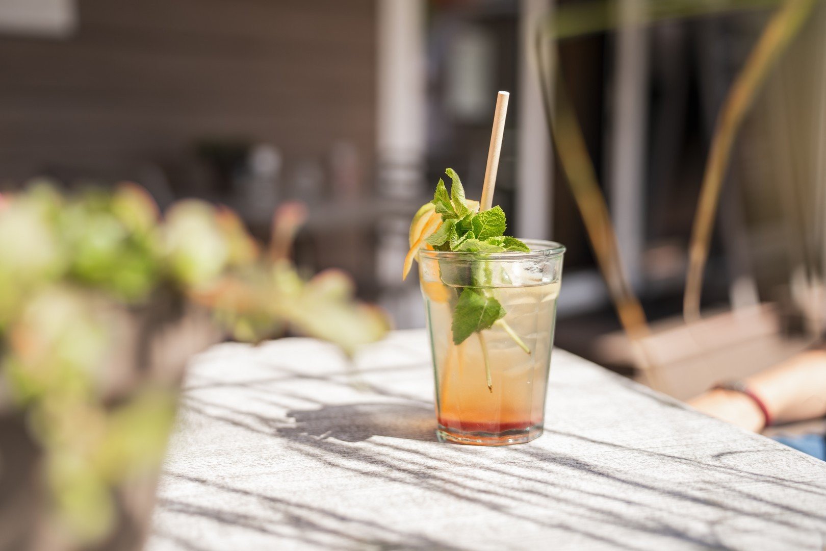 Brasserie delftse hout 5