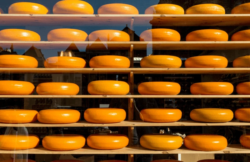 Gouda