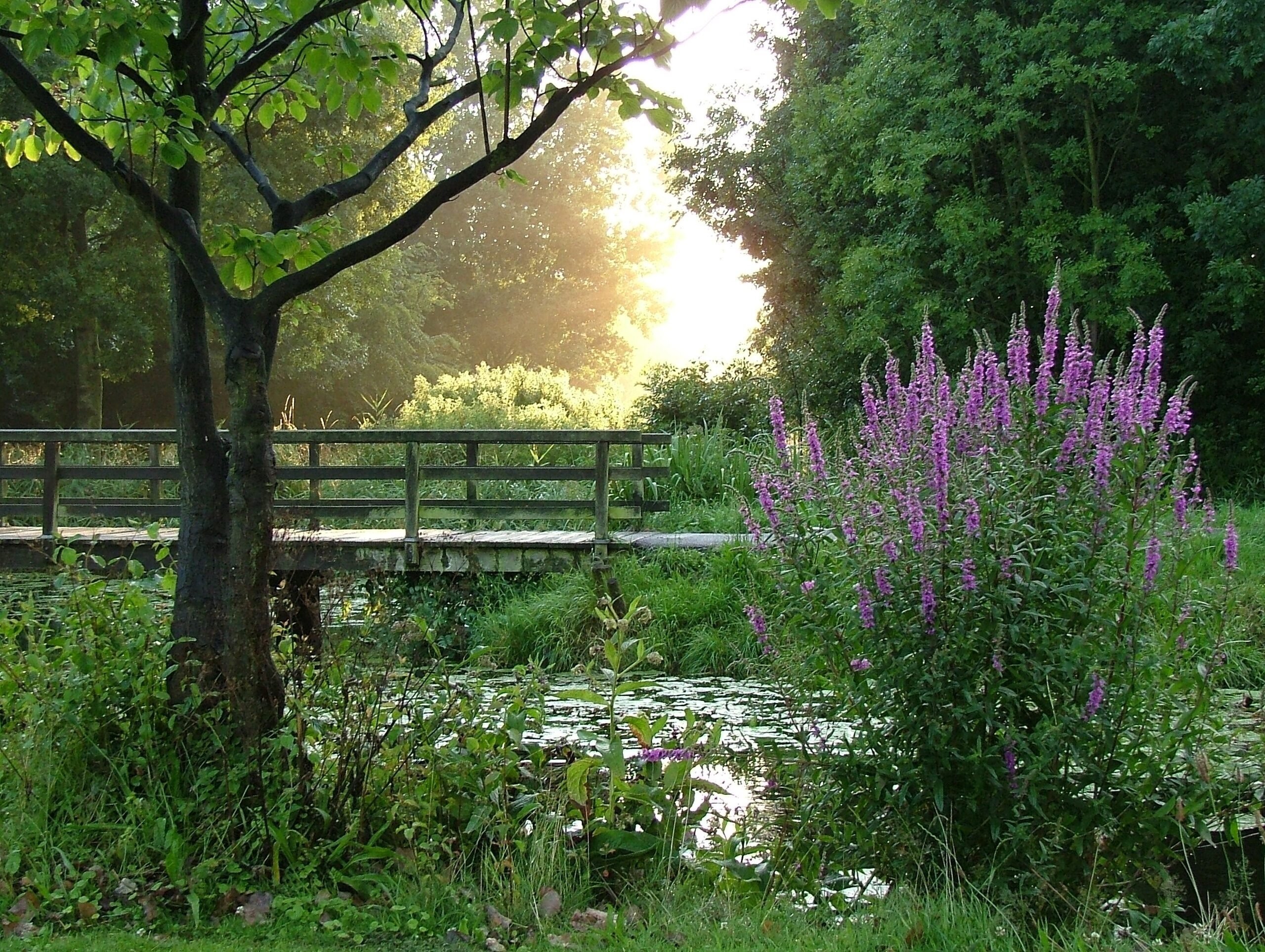 By bicycle or on foot