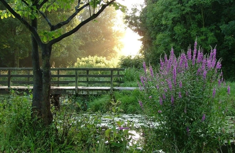 By bicycle or on foot