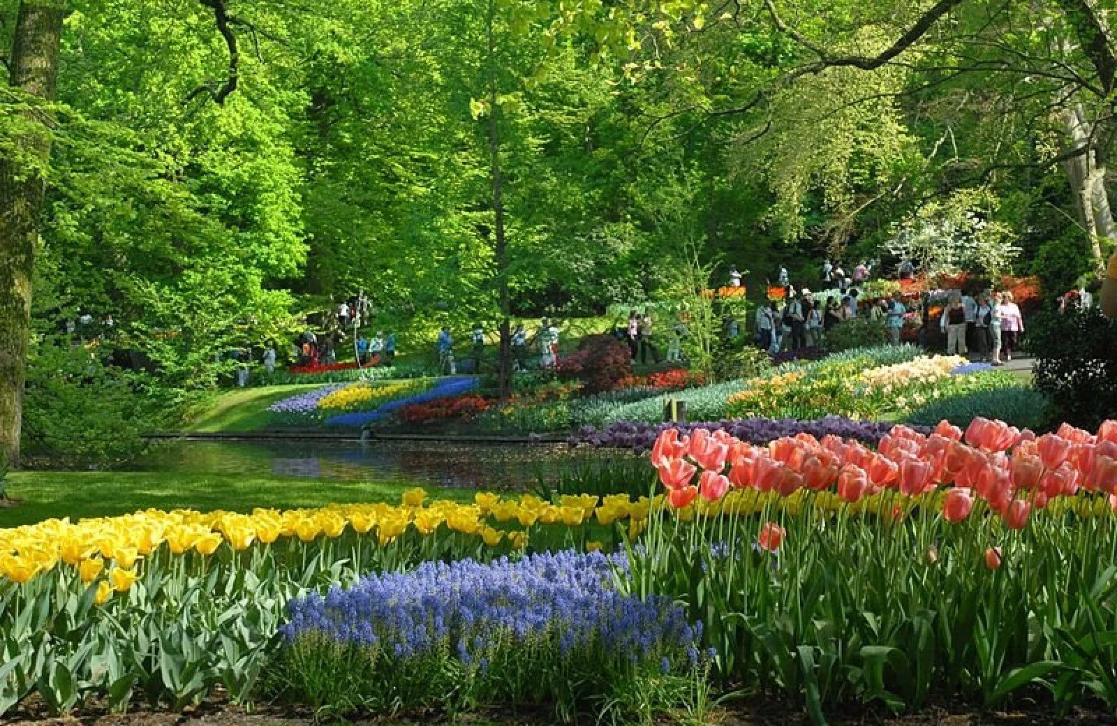 Keukenhof bij delftse hout