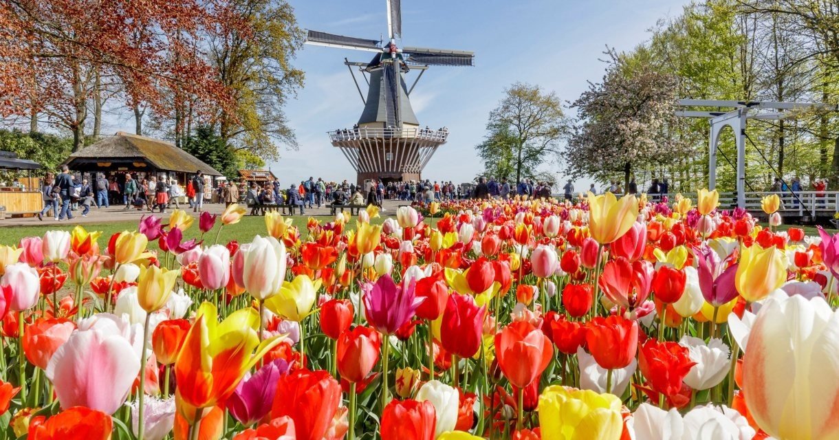 Keukenhof