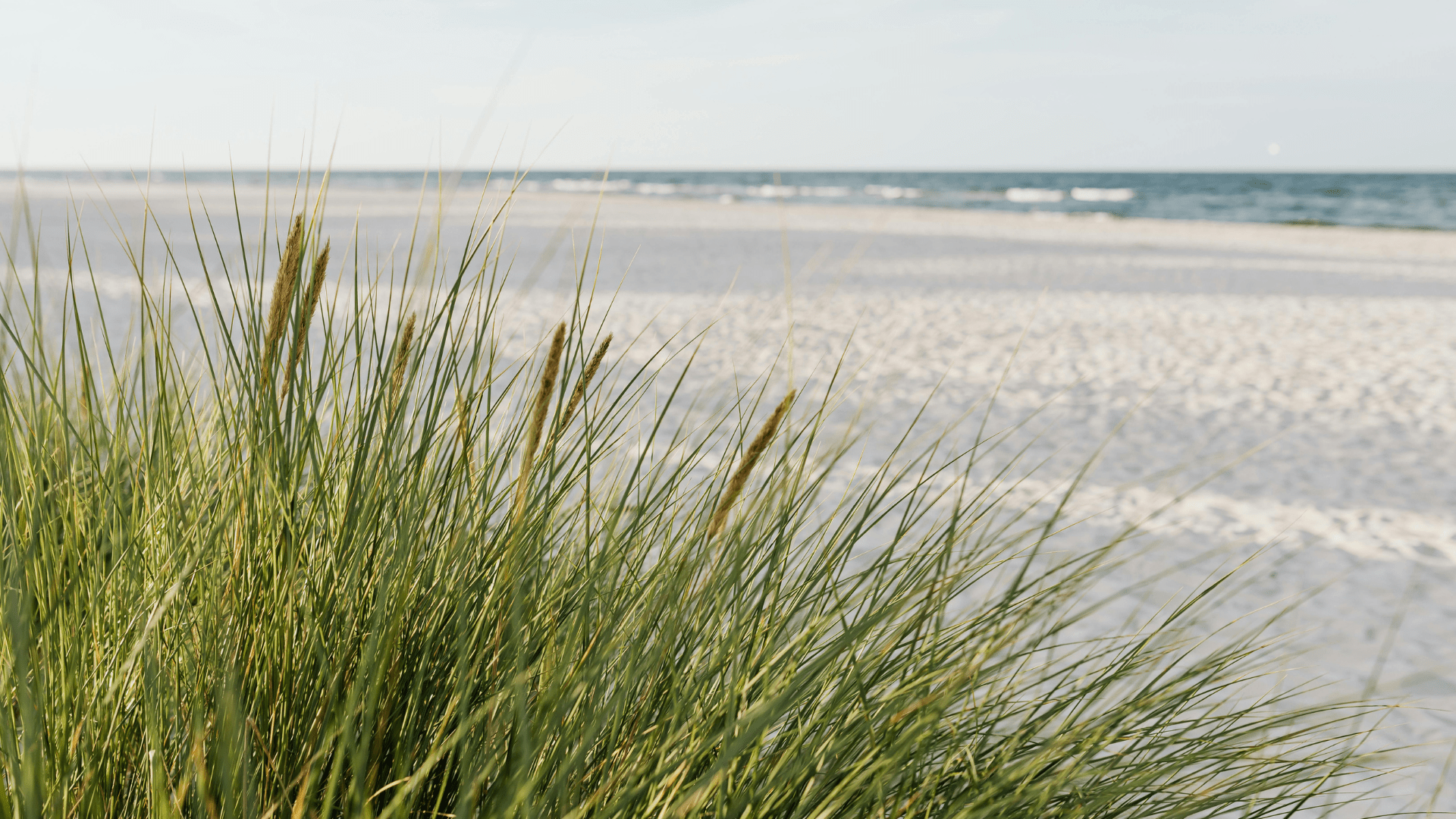Beach access Karel Doornmanweg