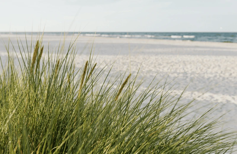 Beach access Karel Doornmanweg
