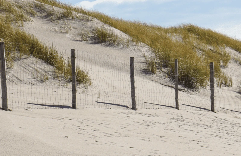 Beach road Molenslag